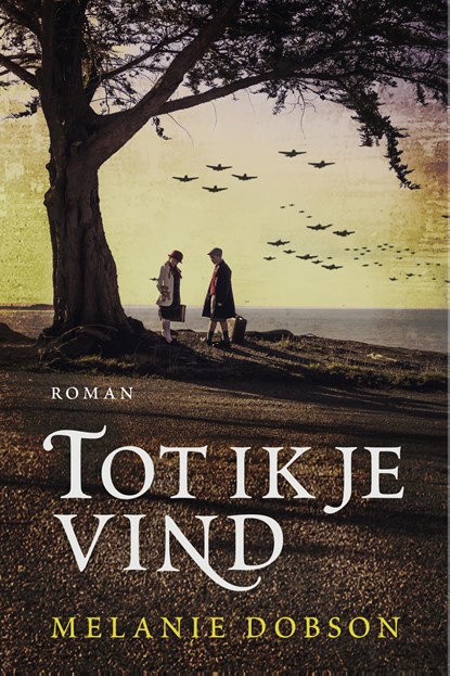 Tot ik je vind, Melanie Dobson - Paperback - 9789043530699