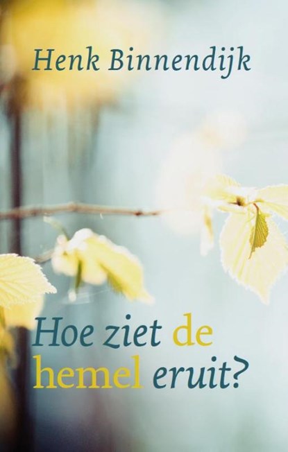 Hoe ziet de hemel eruit?, Henk Binnendijk - Paperback - 9789043532112