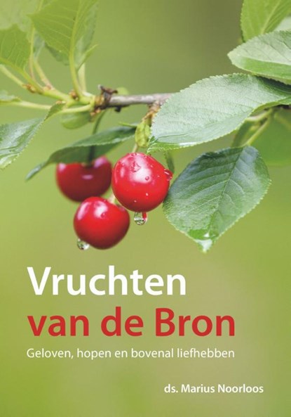 Vruchten van de Bron, Marius Noorloos - Paperback - 9789043532662