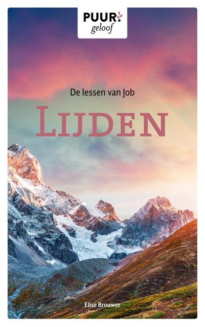 De lessen van Job, Elise Brouwer - Paperback - 9789043533249