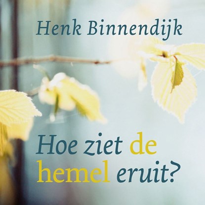 Hoe ziet de hemel eruit?, Henk Binnendijk - Luisterboek MP3 - 9789043535069