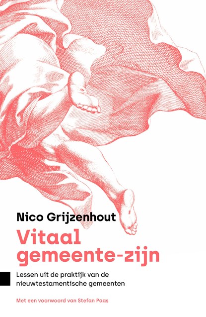 Vitaal gemeente-zijn, Nico Grijzenhout - Ebook - 9789043536080