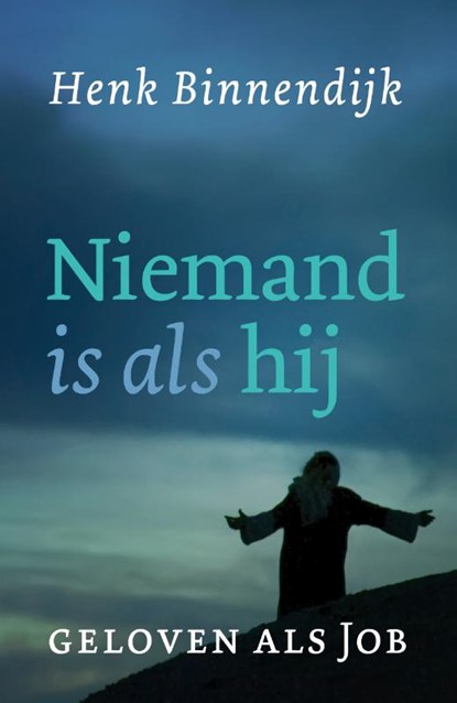 Niemand is als hij, Henk Binnendijk - Paperback - 9789043537148