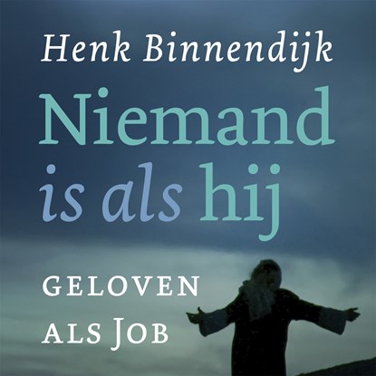 Niemand is als hij, Henk Binnendijk - Luisterboek MP3 - 9789043537162