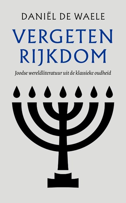 Vergeten rijkdom, Daniël de Waele - Gebonden - 9789043538428