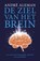 De ziel van het brein, Andre Aleman - Paperback - 9789043538589