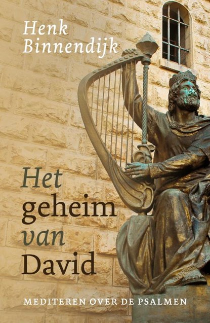Het geheim van David, Henk Binnendijk - Paperback - 9789043539173