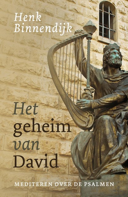 Het geheim van David, Henk Binnendijk - Ebook - 9789043539180