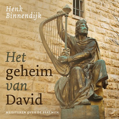 Het geheim van David, Henk Binnendijk - Luisterboek MP3 - 9789043539197