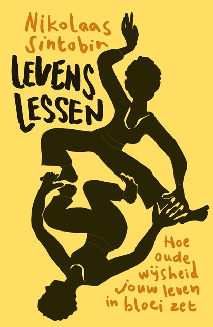 Levenslessen, Nikolaas Sintobin - Ebook - 9789043539364