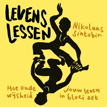 Levenslessen, Nikolaas Sintobin - Luisterboek MP3 - 9789043541091