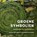 Groene symboliek, Peter van Asselt ; Hanneke Maassen - Gebonden - 9789043541268