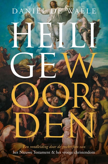 Heilige woorden, Daniël de Waele - Ebook - 9789043541411