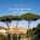 En zó gingen wij naar Rome, W. Verboom - Paperback - 9789043541589