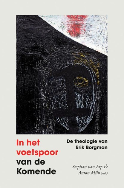 In het voetspoor van de komende, Stephan van Erp ; Anton Milh - Paperback - 9789043541992