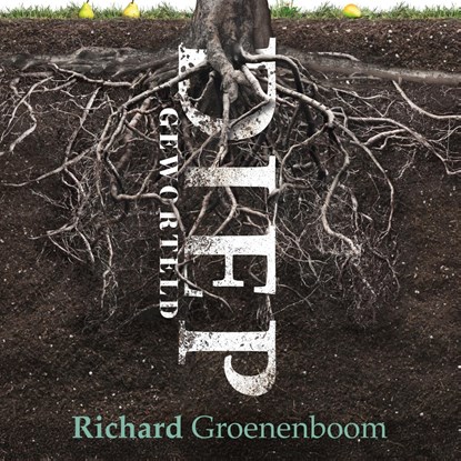 Diepgeworteld, Richard Groenenboom - Luisterboek MP3 - 9789043544849