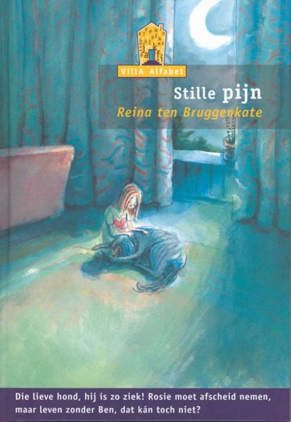 Stille pijn, Reina ten Bruggenkate - Gebonden - 9789043702003