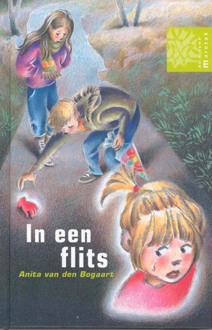 In een flits, Anita van den Bogaart - Gebonden - 9789043703208
