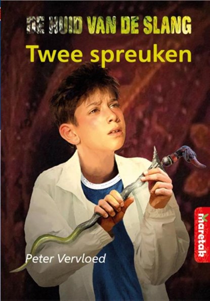 De twee spreuken, Peter Vervloed - Gebonden - 9789043704700