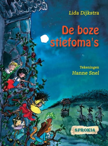 De boze stiefoma's, Lida Dijkstra - Gebonden - 9789043704922