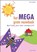 Het megagrote vouwboek, Thea van Mierlo - Paperback - 9789043914147