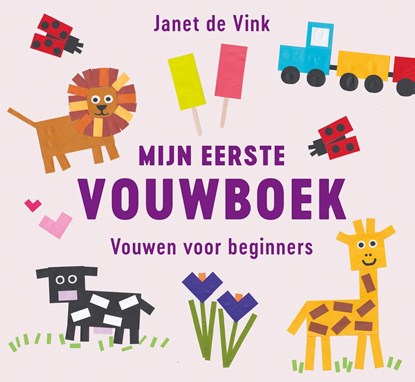 Mijn eerste vouwboek, Janet de Vink - Ebook - 9789043922333