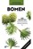 Bomen, Katrin Hecker - Paperback - 9789043924474