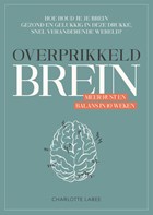 Overprikkeld brein | Charlotte Labee | 