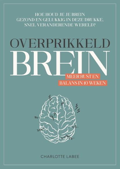 Overprikkeld brein, Charlotte Labee - Paperback - 9789043924887