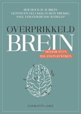 Overprikkeld Brein - Charlotte Labee - 9789043924894