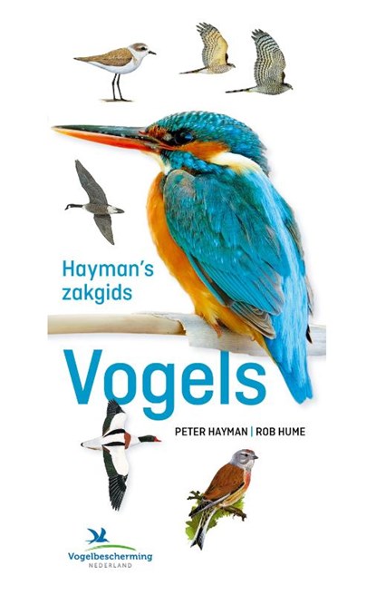 Hayman's Zakgids Vogels, Peter Hayman ; Rob Hume - Paperback - 9789043925396