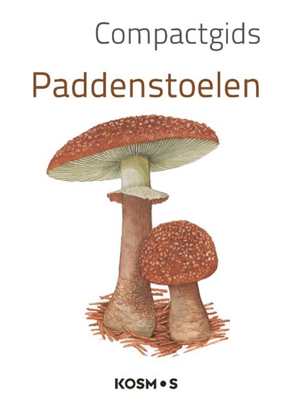 Compactgids Paddenstoelen, Redactie - Paperback - 9789043927802