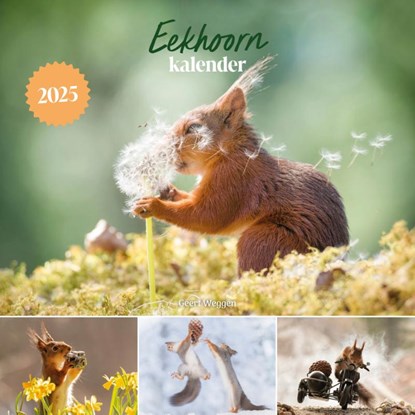 Eekhoorn kalender 2025, Geert Weggen - Paperback - 9789043931748