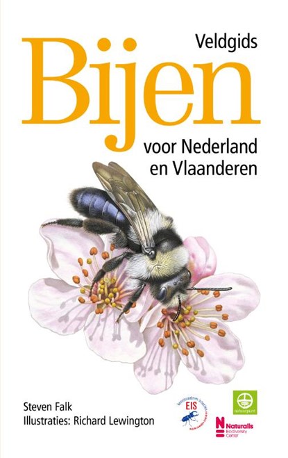 Bijen - Veldgids voor Nederland en Vlaanderen, Richard Lewington ; Steven Falk - Gebonden - 9789043932202