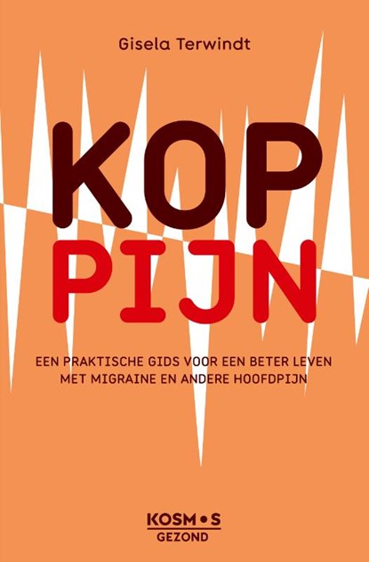 Koppijn, Gisela Terwindt - Paperback - 9789043932318