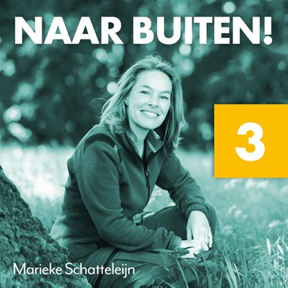 Naar buiten! Van buiten naar binnen op buitenplaats Elswout 3, Marieke Schatteleijn - Luisterboek MP3 - 9789043941631