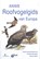 Roofvogelgids van Europa, Theodor Mebs ; Daniel Schmidt ; Winfried Nachtigall - Paperback - 9789043942874