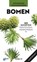 ANWB Basis natuurgids - Bomen, Katrin Hecker - Paperback - 9789043946353
