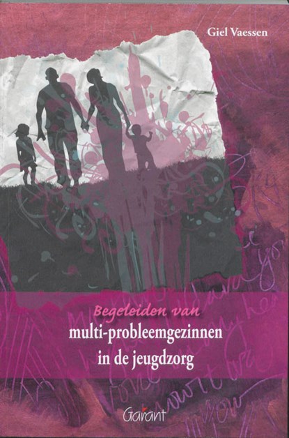 Begeleiden van multi-probleemgezinnen in de jeugdzorg, G. Vaessen - Paperback - 9789044124521
