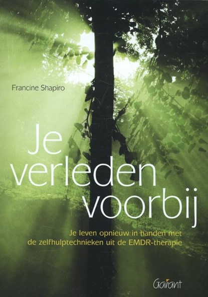 Je verleden voorbij, Francine Shapiro - Paperback - 9789044130317