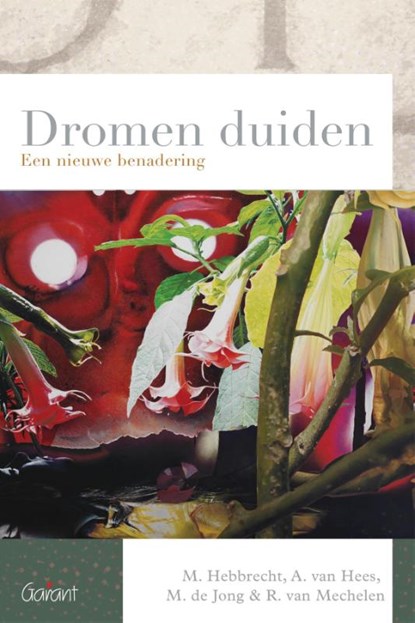 Dromen duiden, Marc Hebbrecht ; Annelies van Hees ; Minke de Jong ; Rolien van Mechelen - Paperback - 9789044135053