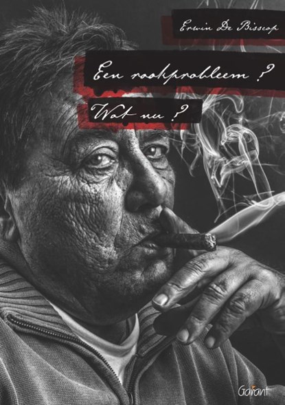 Een rookprobleem? Wat nu?, Erwin De Bisscop - Paperback - 9789044137965