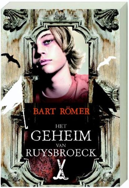 Het geheim van Ruysbroeck, ROMER, Bart - Paperback - 9789044321944