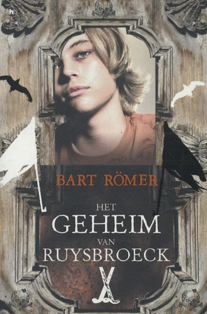 Het geheim van Ruysbroeck, Bart Romer ; Bart Römer - Paperback - 9789044328790