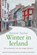 Winter in Ierland, TAYLOR, Patrick - Paperback - 9789044332414