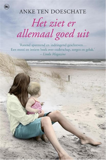 Het ziet er allemaal goed uit, Anke ten Doeschate - Ebook - 9789044336542