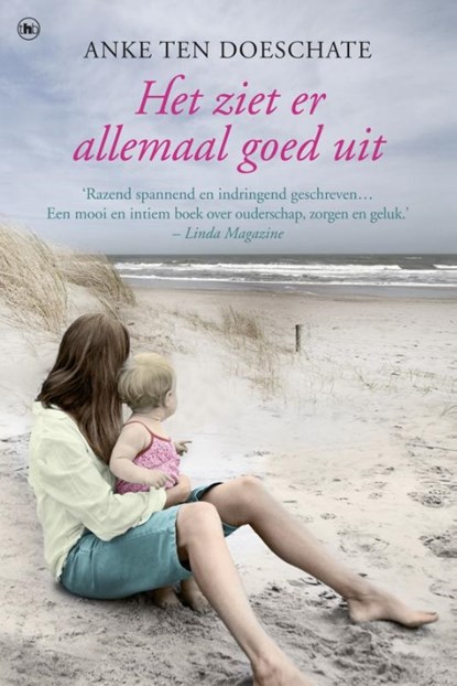 Het ziet er allemaal goed uit, Anke ten Doeschate - Paperback - 9789044348712