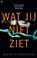 Wat jij niet ziet, Sarah Pinborough - Paperback - 9789044350579