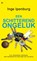 Een schitterend ongeluk, Inge Ipenburg - Paperback - 9789044354201