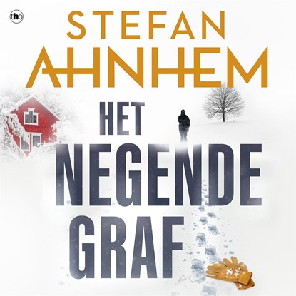 Het negende graf, Stefan Ahnhem - Luisterboek MP3 - 9789044366808